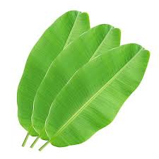 Banana Leaves (1 Piece)