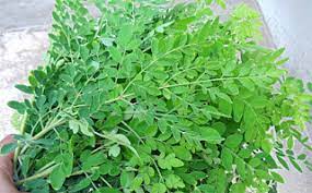 Drumstick Leaves 250g