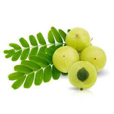 Amla ( Goose Berry) 250g