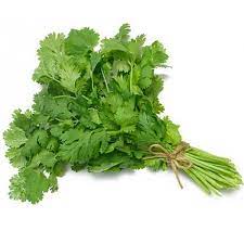 Coriander Leaves (1 bun)