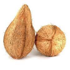Coconut with Husk (1 Piece)