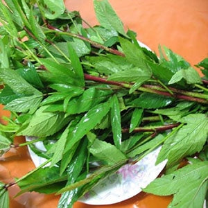 Gongura (Sorrel Leaves) 500g